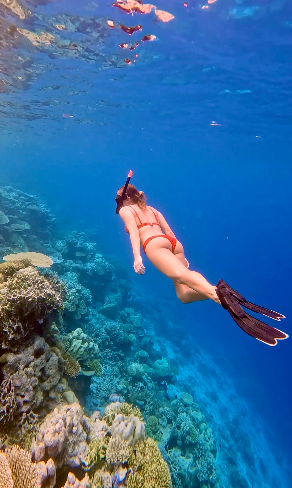 Underwater photo